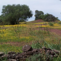 Photo de Espagne - Séville